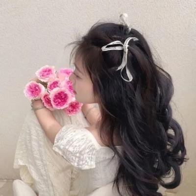 龙门飞甲纪录片
